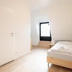 Tolstov - With 2 , 3 And 6 - 15 Min To Messe Dus And Old Town Dus Apartment Dusseldorf